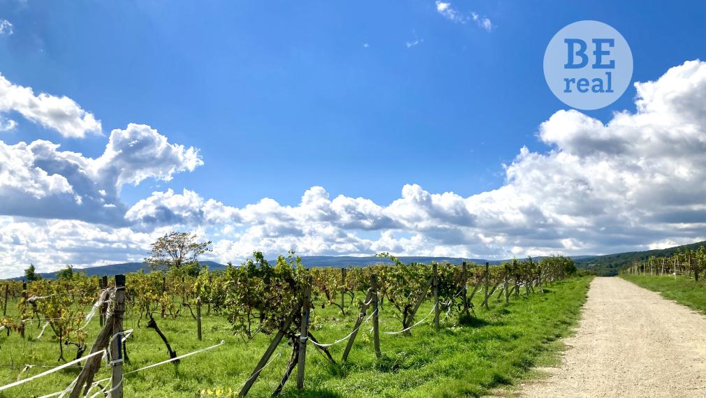 PREDANÝ Priestranný dvojizbový byt s veľkou loggiou v novostavbe Byty Rozálka