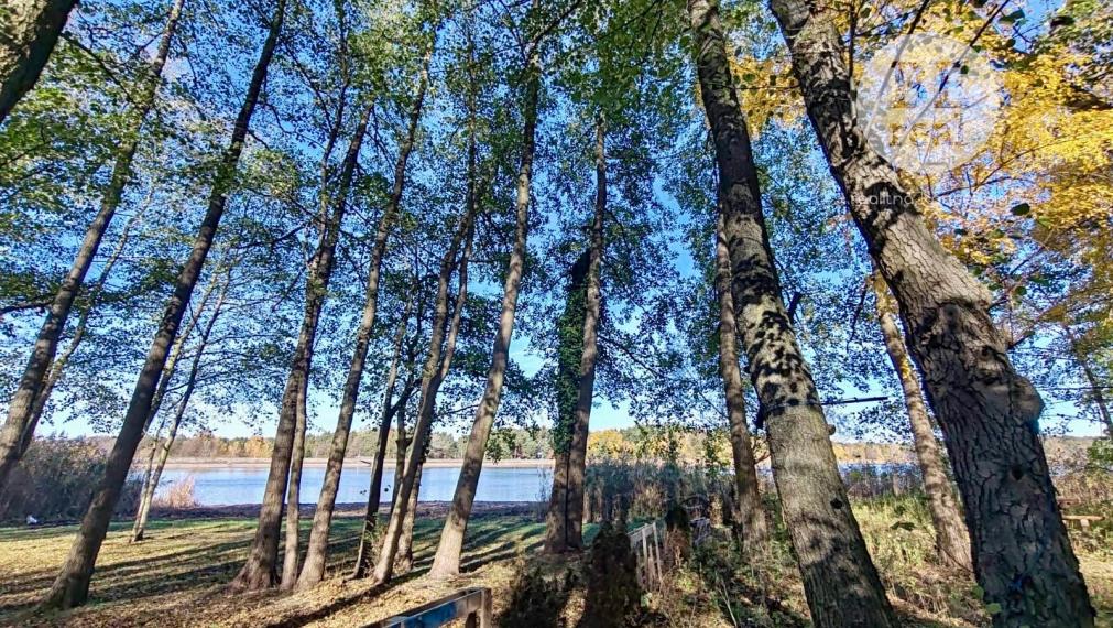 Na predaj chata na Záhorí TOMKY