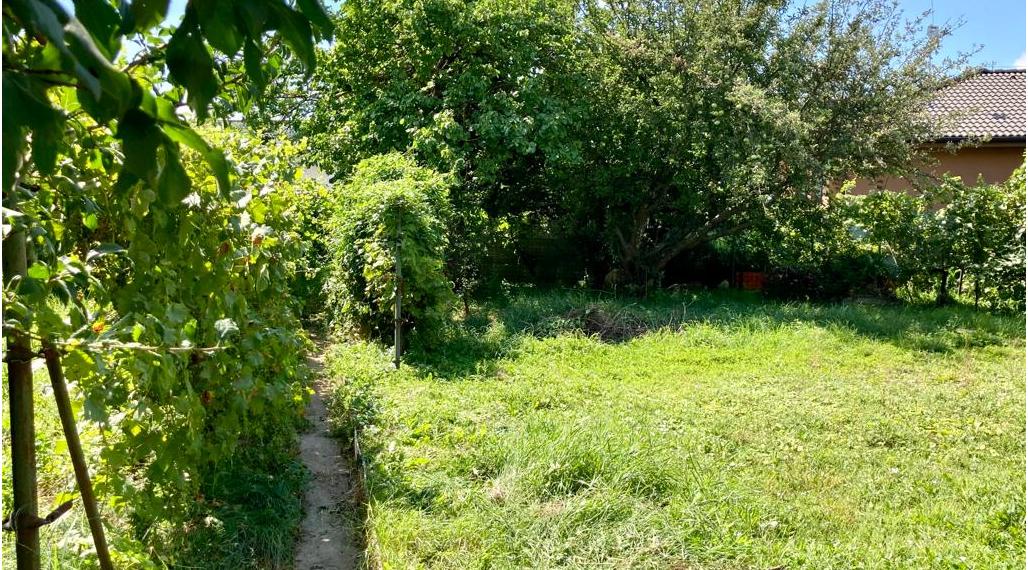 PREDANÝ Veľkorysý stavebný pozemok v Bernolákove