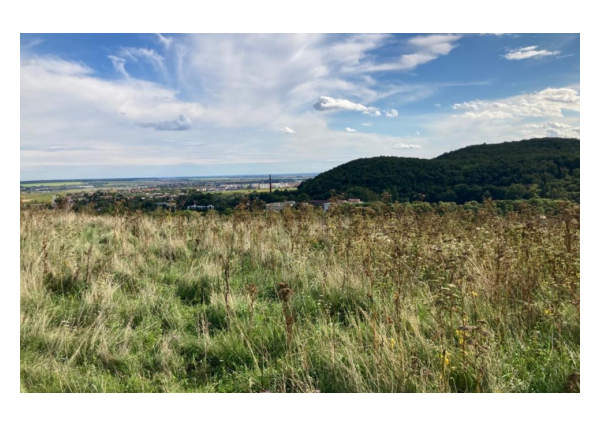 Slnečná terasa, z ktorej máte Pezinok ako na dlani